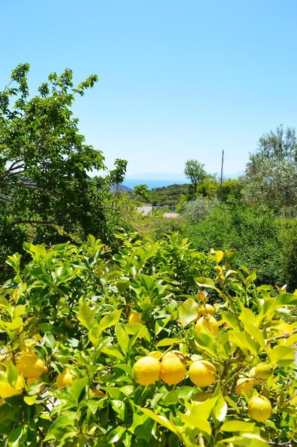 Alikias Country House Panormos  Dış mekan fotoğraf