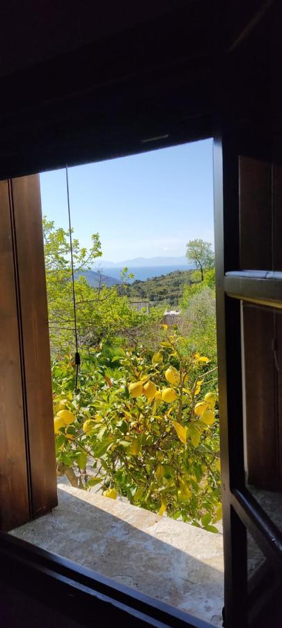 Alikias Country House Panormos  Dış mekan fotoğraf