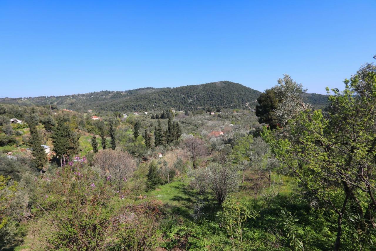 Alikias Country House Panormos  Dış mekan fotoğraf